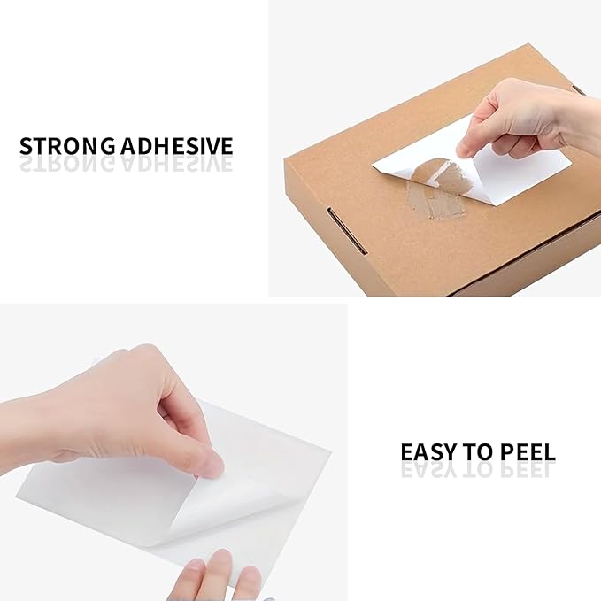 JADENS 2 Rolls Thermal Label Paper, 4"×6" Compatible with C10 & 568P